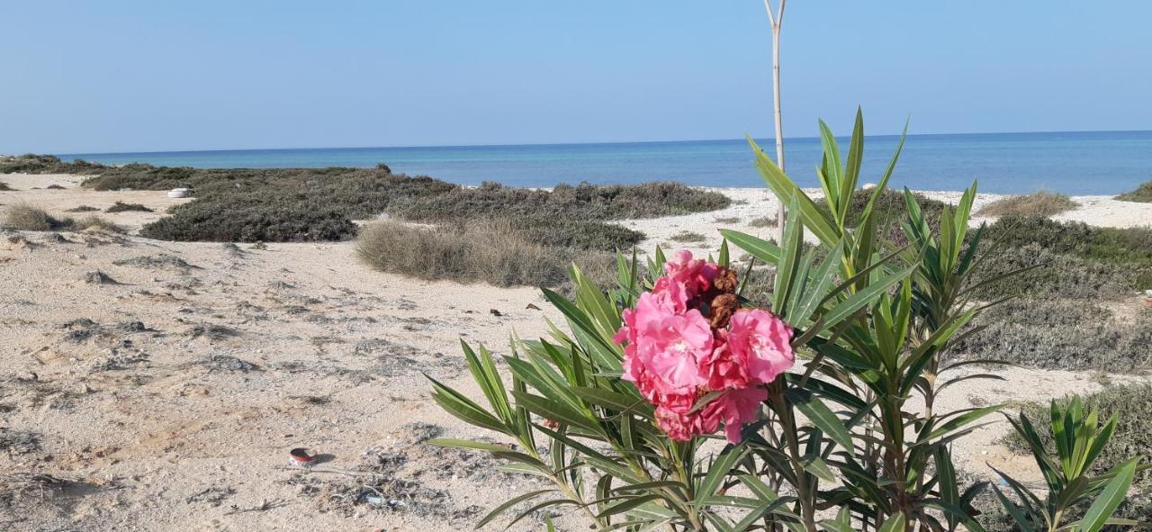 Dar Chick Yahia Ile De Djerba Bed & Breakfast Mezrane Luaran gambar